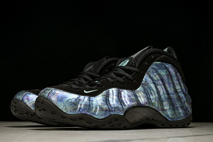 Nike Air Foamposite One PreM1vm 