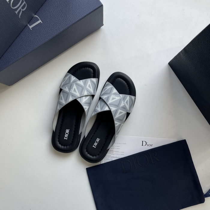 D1R* SLIDE copshoe DR-SLIDE 006