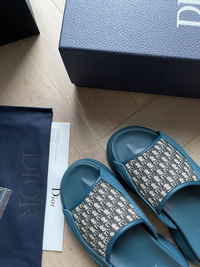 D1R* SLIDE copshoe DR-SLIDE 007