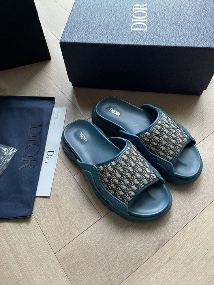 D1R* SLIDE copshoe DR-SLIDE 007