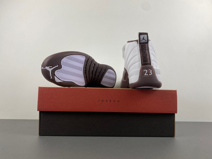 solefly x air jordan 12 fz5026-100