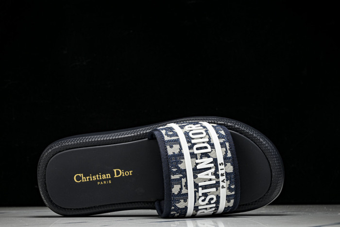 D1R* SLIDE copshoe DR-SLIDE 033