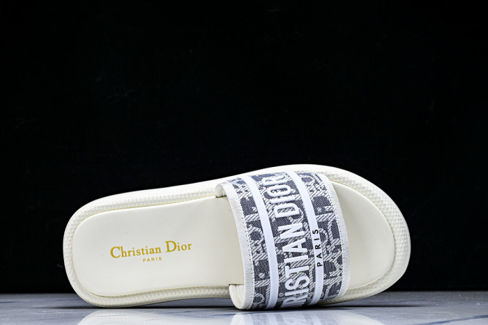 D1R* SLIDE copshoe DR-SLIDE 035