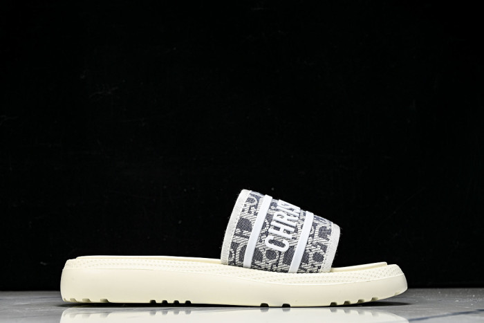 D1R* SLIDE copshoe DR-SLIDE 035