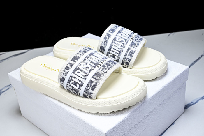 D1R* SLIDE copshoe DR-SLIDE 035
