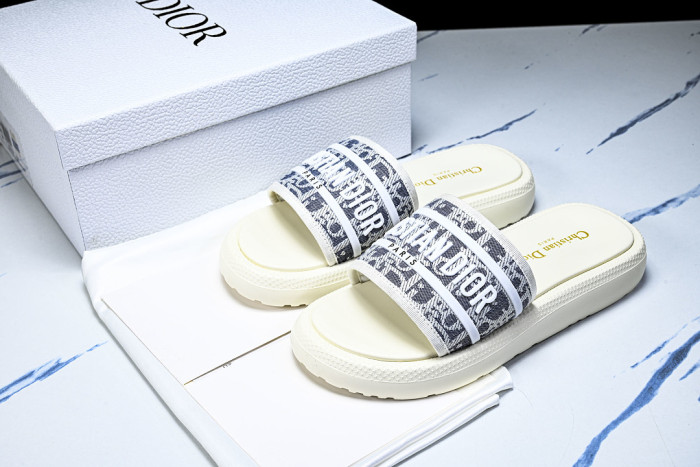 D1R* SLIDE copshoe DR-SLIDE 035