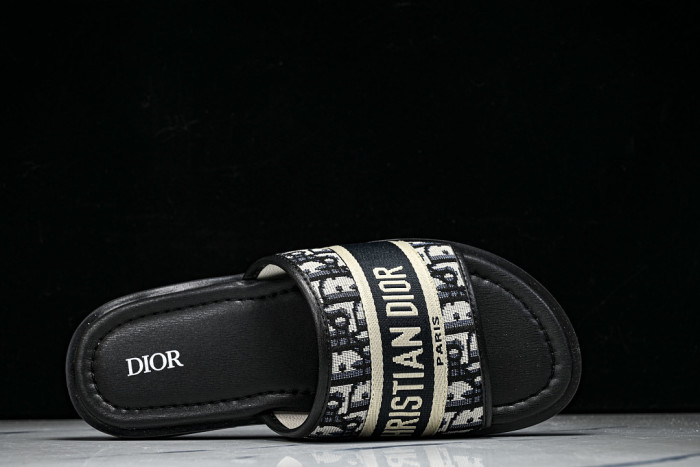 D1R* SLIDE copshoe DR-SLIDE 037