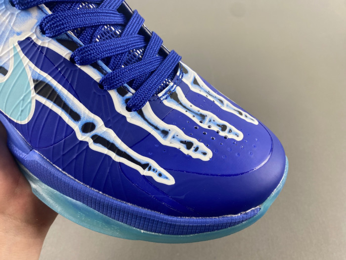 zoom kobe 5 protro 