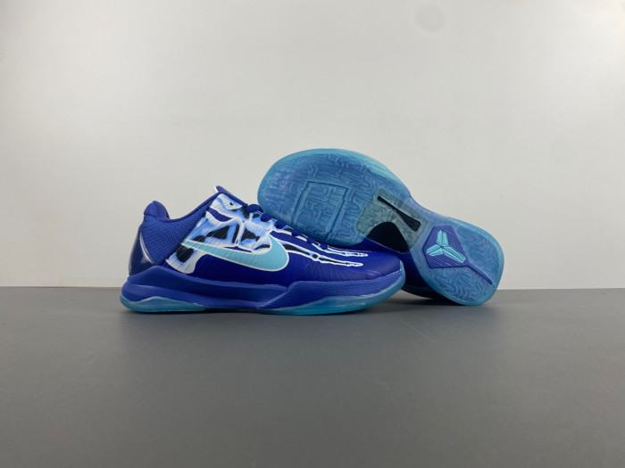 zoom kobe 5 protro 