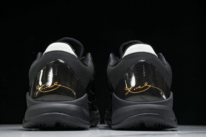 nike zoom kobe v x 