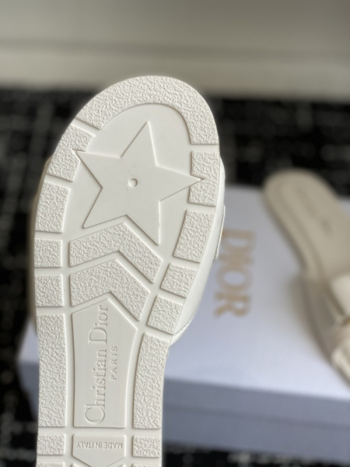 D1R* SLIDE copshoe DR-SLIDE 024