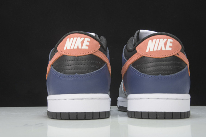 nike dunk low ekin dc7454-100