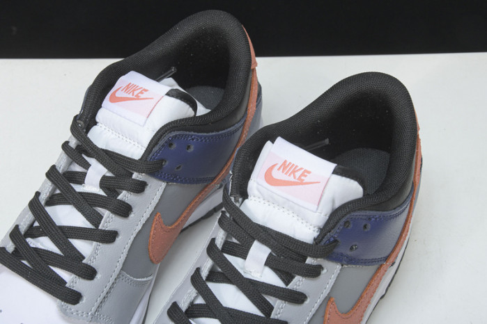 nike dunk low ekin dc7454-100