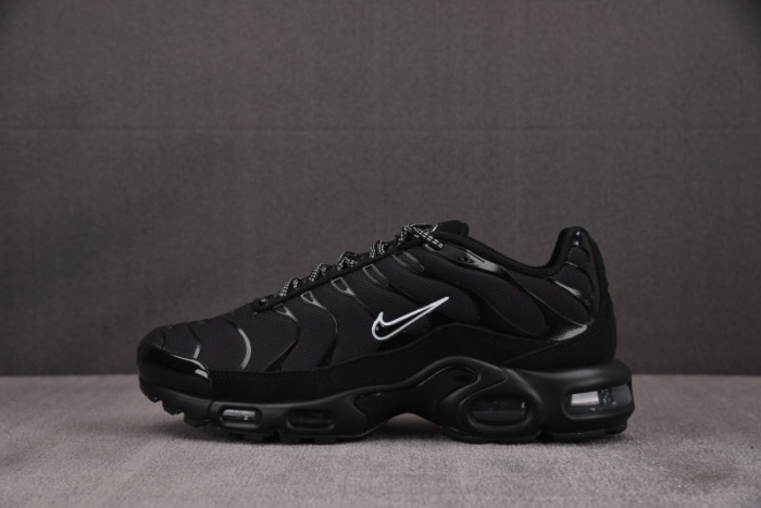 Nike Air Max Plus ''Unity'' - DZ4509-001