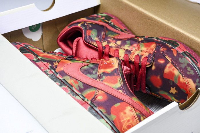 The Wizard of Oz x Nike SB Dunk Low FZ1291-600