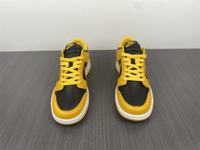 nike dunk low G01denrod (2021) - dd1391-004