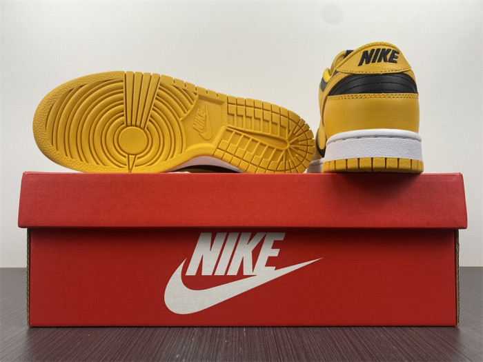 nike dunk low G01denrod (2021) - dd1391-004