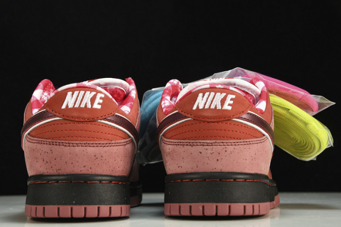 nike sb dunk low concepts red lobster 313170-661