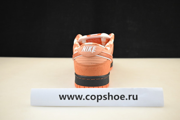 concepts x nike sb dunk low “orange lobster” fd8776-800