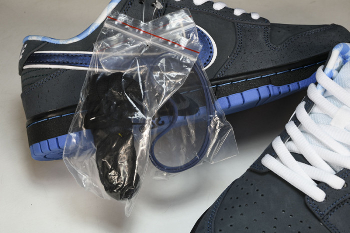 dunk low preM1vm sb 