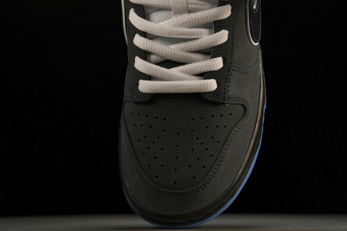 dunk low preM1vm sb 